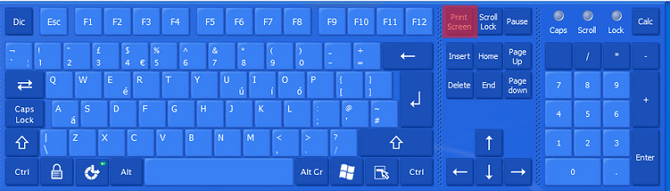 Using the PrtSc button