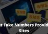 5 Best Fake Numbers Providers Sites For Online Verification