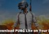 Best Trick To Download PUBG Lite on Your PC