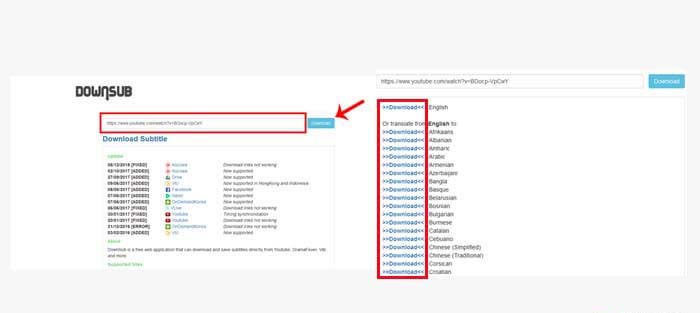 Using DownSub Using DownSub
