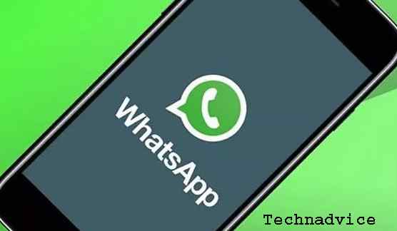 Contact the WhatsApp Support Service