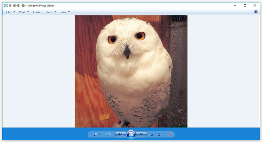now your photos can be displayed using Windows Photo Viewer
