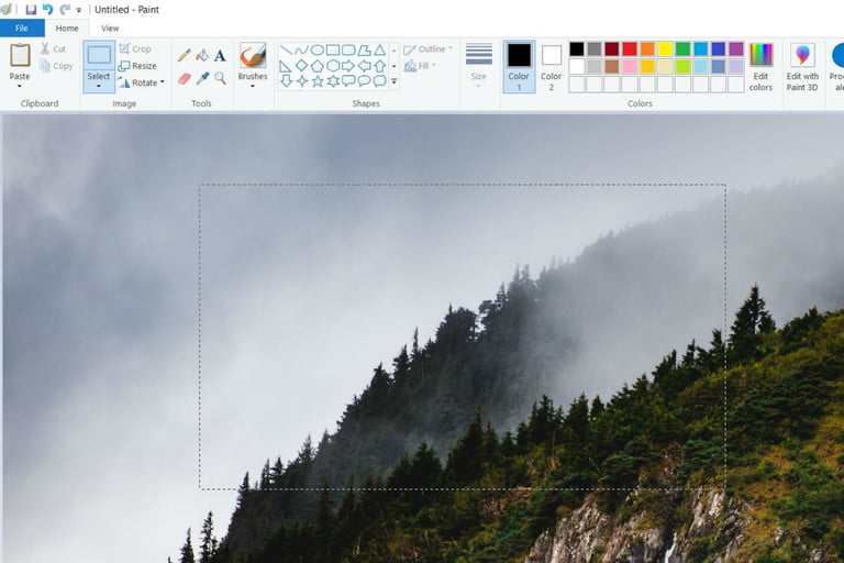 paste the screenshot (Clipboard methods only) paste the screenshot (Clipboard methods only)