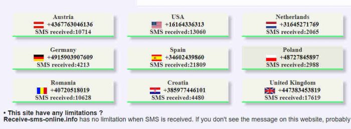 ReceiveSMSOnline.info ReceiveSMSOnline.info