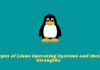 Types of Linux Operating Systems and their Strengths 2024 Types of Linux Operating Systems and their Strengths