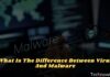 What Is The Difference Between Virus And Malware 2024 What Is The Difference Between Virus And Malware