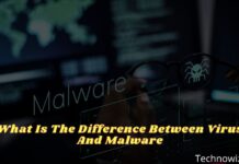 What Is The Difference Between Virus And Malware 2024 What Is The Difference Between Virus And Malware