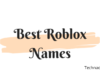 200+ Best Cool, Funny and Nice Roblox Names