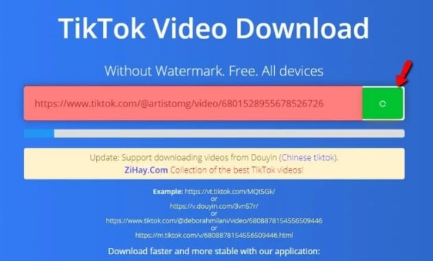 Download TikTok Videos Without Watermark Online Download TikTok Videos Without Watermark Online