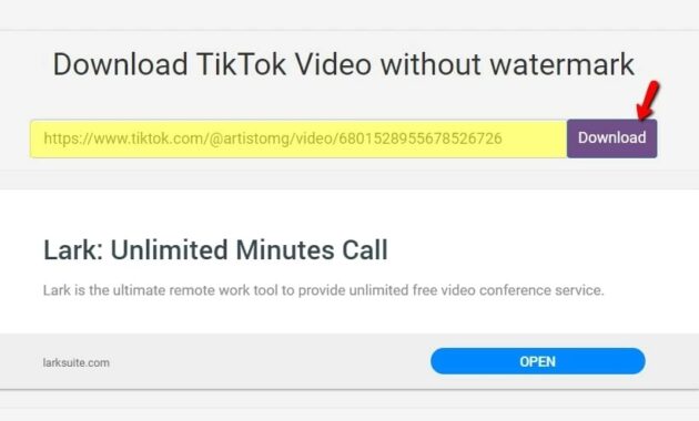 Download TikTok Videos Without Watermark Online Download TikTok Videos Without Watermark Online