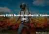 1000+ Funny PUBG Names Aesthetics, Symbols, Etc