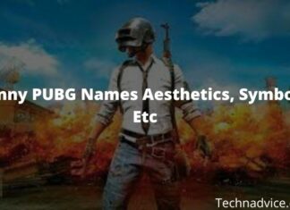 1000+ Funny PUBG Names Aesthetics, Symbols, Etc