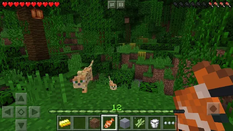 Minecraft MOD v1.26.20.21 APK